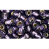 Achat cc39 - perles de rocaille Toho 6/0 silver lined tanzanite (10g)