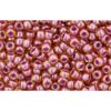 Achat Cc960 - perles de rocaille Toho 11/0 light topaz/ pink lined (10g)