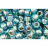 Achat cc995 - perles de rocaille Toho 6/0 gold lined rainbow aqua (10g)