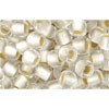 Achat cc21f - perles de rocaille Toho 6/0 silver lined frosted crystal (10g)