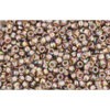 Achat cc999 - perles de rocaille Toho 15/0 gold lined rainbow black diamond (5g)