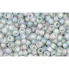 Achat cc176af - perles de rocaille Toho 11/0 transparent rainbow frosted black diamond (10g)