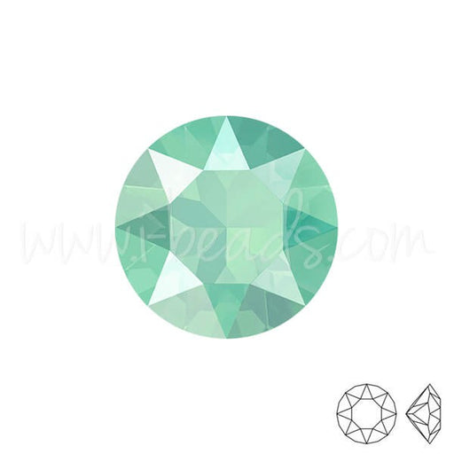 Achat cristal 1088 xirius chaton crystal mint green 6mm-SS29 (6)