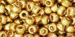 Acheter au détail ccpf557 perles de rocaille Toho 6/0 galvanized starlight (10g)