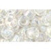 Acheter au détail cc161 perles de rocaille Toho 3/0 transparent rainbow crystal (10g)