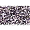 Creez cc39 perles de rocaille Toho 11/0 silver lined tanzanite (10g)