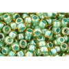 Achat cc380 perles de rocaille Toho 8/0 topaz/mint julep lined (10g)