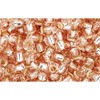 Achat en gros cc31 perles de rocaille Toho 8/0 silver lined rosaline (10g)