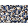 Achat cc992 - perles de rocaille toho 6/0 gold lined light montana blue (10g)
