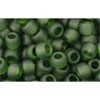 Achat cc940f - perles de rocaille Toho 6/0 transparent frosted olivine (10g)