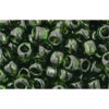Creez cc940 perles de rocaille Toho 6/0 transparent olivine (10g)