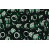 Vente au détail cc939 perles de rocaille Toho 6/0 transparent green emerald (10g)