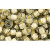 Acheter en gros cc369 perles de rocaille toho 6/0 black diamond/orange cream lined (10g)