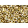 Creez cc262 perles de rocaille Toho 6/0 inside colour crystal/gold lined (10g)