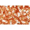Achat cc31 perles de rocaille Toho 6/0 silver-lined rosaline (10g)