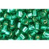 Achat cc24b - perles de rocaille toho 6/0 silver lined dark peridot (10g)