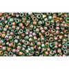 Achat cc249 - perles de rocaille Toho 15/0 inside colour peridot/emerald lined (5g)