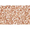 Achat cc31 - perles de rocaille Toho 15/0 silver lined rosaline (5g)