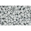 Achat cc53f perles de rocaille Toho 11/0 opaque frosted grey (10g)