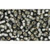 Achat cc29bf - perles de rocaille Toho 11/0 silver lined frosted grey (10g)