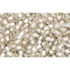Acheter cc21f perles de rocaille Toho 11/0 silver lined frosted crystal (10g)