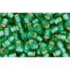 Acheter au détail cc24bf perles de rocaille Toho 8/0 silver lined frosted dark peridot (10g)