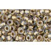 Vente au détail cc262 perles de rocaille Toho 8/0 inside colour crystal/gold lined (10g)
