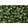 Acheter au détail cc333 perles de rocaille toho 6/0 gold-lustered fern (10g)