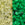 Grossiste en cc2721 - perles de rocaille Toho 11/0 Glow in the dark yellow/bright green (10g)