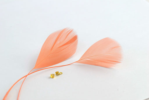 Achat plumes naturelles colorées rose saumon x2 - ( 4-6 cm) créations manuelles, bijoux, décoration, scrapbooking