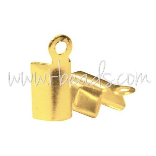 Achat Pinces lacet métal finition doré 3x7mm (10)