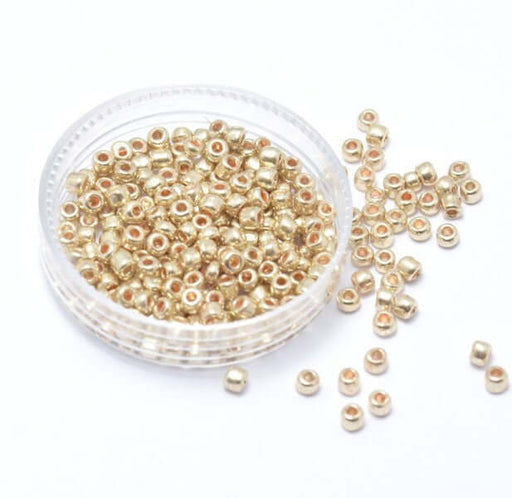 Vente en gros 5 gr de perles (2-3mm) rocaille dorées clair en verre environ 200 perles 2~3 mm, trou: 0.8 mm